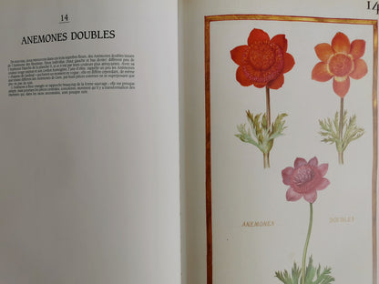 Daniel Rabel, cent fleurs et insectes, Gérard Aymonin, intro. Antoine Schnapper, collection Bibliothèque Nationale Paris, Anthese, 1991.