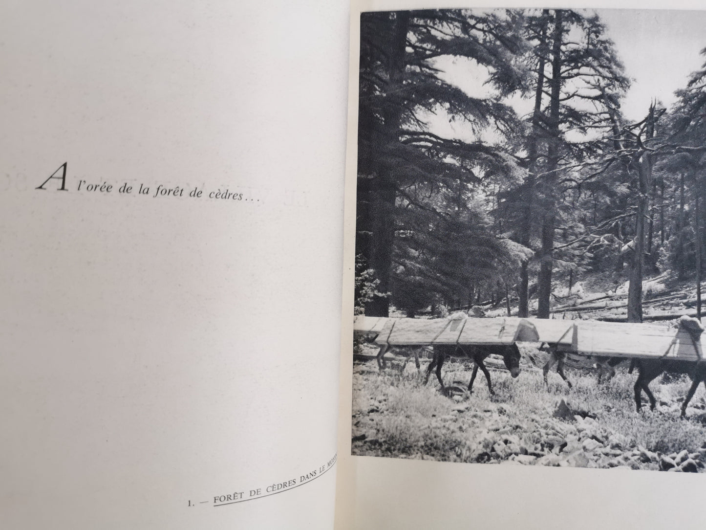 Images du Maroc berbère, Henri Duquaire, photographies de J. Belin, Plon, 1947.