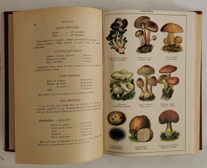 Mon Docteur, Médecine et hygiène - Tome Plantes médicinales, Dr. H.M. Menier et Professeur Ph. Hettinger, ed. Librairie commerciale Aristide Quillet, 1905/1907.